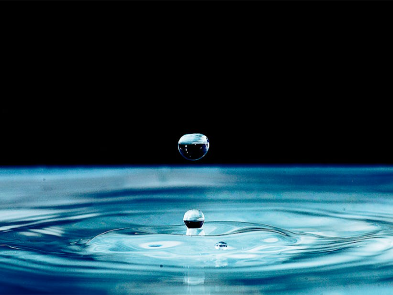 水质微生物检测的主要指标