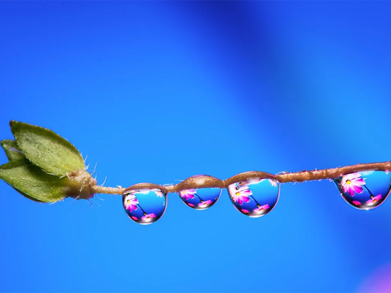 制药用水微生物监测要求