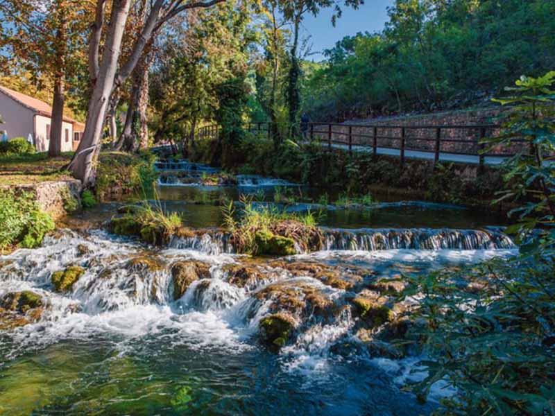 为什么要检测BOD