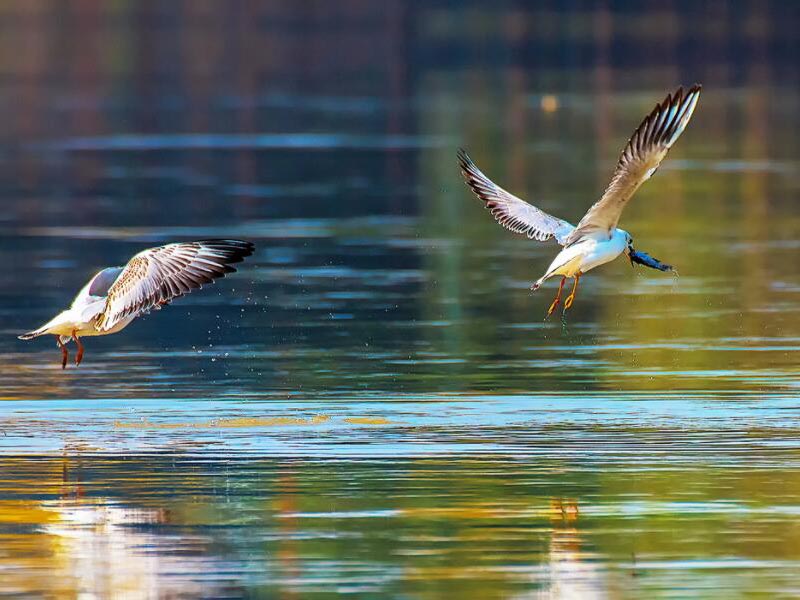 红外测油仪的工作环境湿度要求